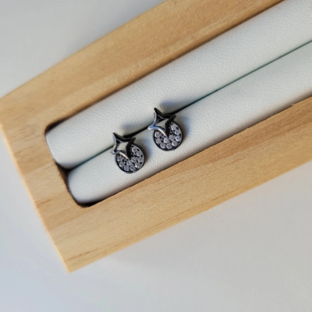 Brinco Círculo Cravejado e Estrela